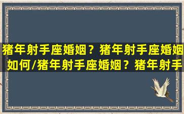 猪年射手座婚姻？猪年射手座婚姻如何/猪年射手座婚姻？猪年射手座婚姻如何-我的网站