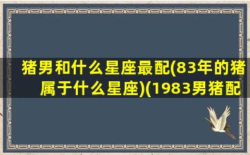 猪男和什么星座最配(83年的猪属于什么星座)(1983男猪配什么属相最好)