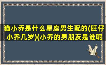 猫小乔是什么星座男生配的(旺仔小乔几岁)(小乔的男朋友是谁呢)