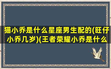 猫小乔是什么星座男生配的(旺仔小乔几岁)(王者荣耀小乔是什么星座的)