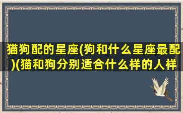 猫狗配的星座(狗和什么星座最配)(猫和狗分别适合什么样的人样)