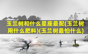 玉兰树和什么星座最配(玉兰树用什么肥料)(玉兰树最怕什么)