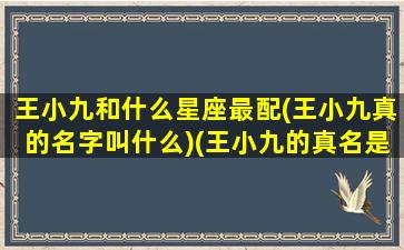 王小九和什么星座最配(王小九真的名字叫什么)(王小九的真名是什么)