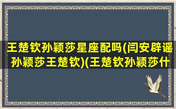 王楚钦孙颖莎星座配吗(闫安辟谣孙颖莎王楚钦)(王楚钦孙颖莎什么关系)