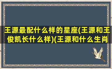 王源最配什么样的星座(王源和王俊凯长什么样)(王源和什么生肖最配)