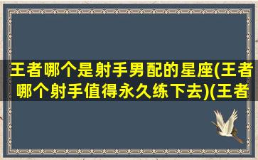 王者哪个是射手男配的星座(王者哪个射手值得永久练下去)(王者荣耀射手选谁)