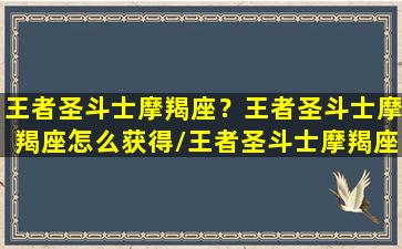 王者圣斗士摩羯座？王者圣斗士摩羯座怎么获得/王者圣斗士摩羯座？王者圣斗士摩羯座怎么获得-我的网站