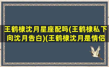 王鹤棣沈月星座配吗(王鹤棣私下向沈月告白)(王鹤棣沈月是情侣吗)