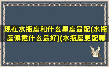 现在水瓶座和什么星座最配(水瓶座佩戴什么最好)(水瓶座更配哪个星座)