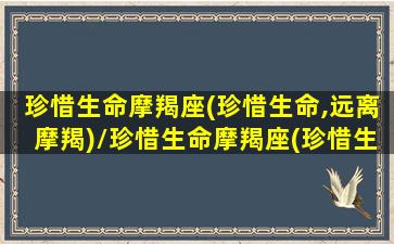 珍惜生命摩羯座(珍惜生命,远离摩羯)/珍惜生命摩羯座(珍惜生命,远离摩羯)-我的网站