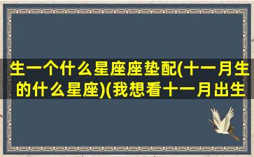 生一个什么星座座垫配(十一月生的什么星座)(我想看十一月出生的人是什么星座和什么星座最配)