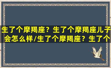 生了个摩羯座？生了个摩羯座儿子会怎么样/生了个摩羯座？生了个摩羯座儿子会怎么样-我的网站