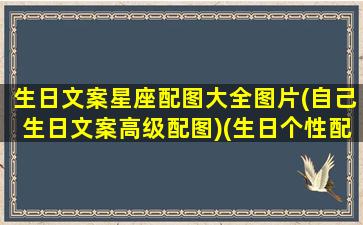 生日文案星座配图大全图片(自己生日文案高级配图)(生日个性配图)