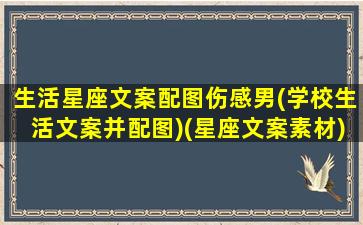 生活星座文案配图伤感男(学校生活文案并配图)(星座文案素材)