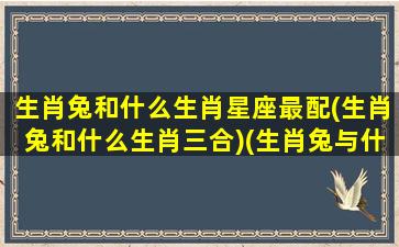 生肖兔和什么生肖星座最配(生肖兔和什么生肖三合)(生肖兔与什么生肖最合)