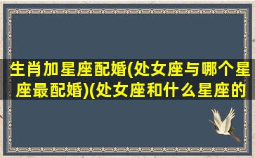 生肖加星座配婚(处女座与哪个星座最配婚)(处女座和什么星座的配对)