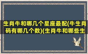 生肖牛和哪几个星座最配(牛生肖码有哪几个数)(生肖牛和哪些生肖比较合)