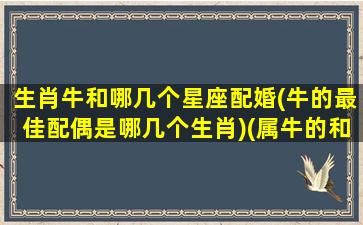 生肖牛和哪几个星座配婚(牛的最佳配偶是哪几个生肖)(属牛的和什么星座)