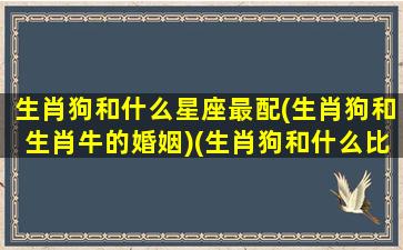 生肖狗和什么星座最配(生肖狗和生肖牛的婚姻)(生肖狗和什么比较配)