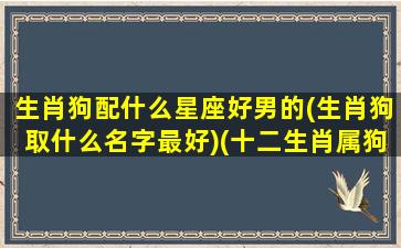 生肖狗配什么星座好男的(生肖狗取什么名字最好)(十二生肖属狗宜配)