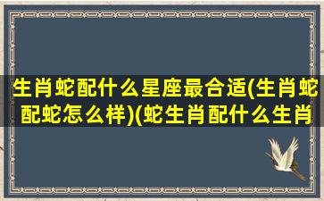 生肖蛇配什么星座最合适(生肖蛇配蛇怎么样)(蛇生肖配什么生肖才最佳)