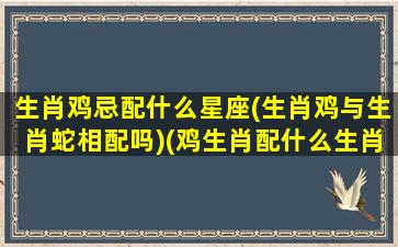 生肖鸡忌配什么星座(生肖鸡与生肖蛇相配吗)(鸡生肖配什么生肖不好)