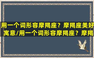 用一个词形容摩羯座？摩羯座美好寓意/用一个词形容摩羯座？摩羯座美好寓意-我的网站