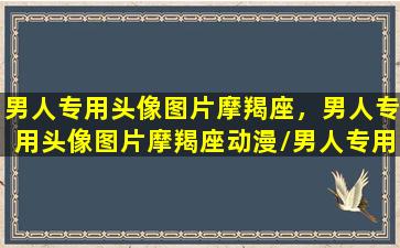 男人专用头像图片摩羯座，男人专用头像图片摩羯座动漫/男人专用头像图片摩羯座，男人专用头像图片摩羯座动漫-我的网站