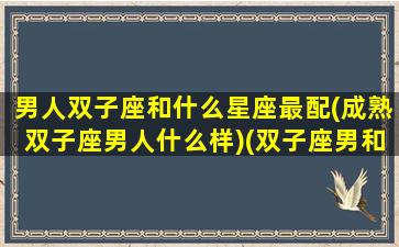 男人双子座和什么星座最配(成熟双子座男人什么样)(双子座男和什么星座最般配)