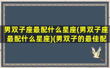 男双子座最配什么星座(男双子座最配什么星座)(男双子的最佳配偶星座)