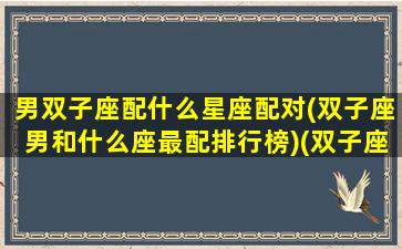 男双子座配什么星座配对(双子座男和什么座最配排行榜)(双子座男搭配什么星座最合适)