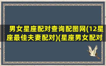 男女星座配对查询配图网(12星座最佳夫妻配对)(星座男女配对表格)