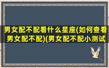 男女配不配看什么星座(如何查看男女配不配)(男女配不配小测试)