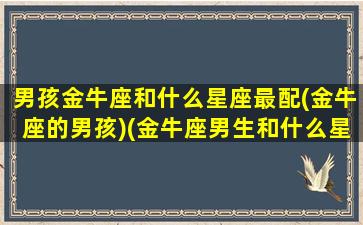 男孩金牛座和什么星座最配(金牛座的男孩)(金牛座男生和什么星座男生最配)