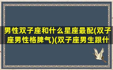 男性双子座和什么星座最配(双子座男性格脾气)(双子座男生跟什么星座最配对)