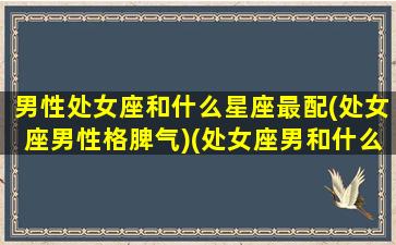 男性处女座和什么星座最配(处女座男性格脾气)(处女座男和什么星座最配做夫妻)