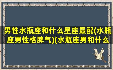 男性水瓶座和什么星座最配(水瓶座男性格脾气)(水瓶座男和什么星座最搭)