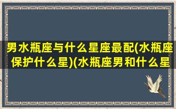 男水瓶座与什么星座最配(水瓶座保护什么星)(水瓶座男和什么星座)