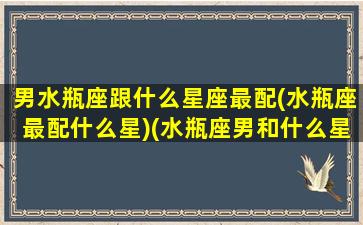 男水瓶座跟什么星座最配(水瓶座最配什么星)(水瓶座男和什么星座配对)