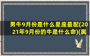 男牛9月份是什么星座最配(2021年9月份的牛是什么命)(属牛男九月出生好不好)