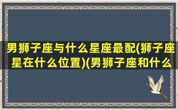 男狮子座与什么星座最配(狮子座星在什么位置)(男狮子座和什么座最配夫妻)