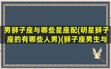 男狮子座与哪些星座配(明星狮子座的有哪些人男)(狮子座男生与哪个星座最配)