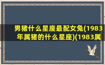 男猪什么星座最配女兔(1983年属猪的什么星座)(1983属猪男婚配)