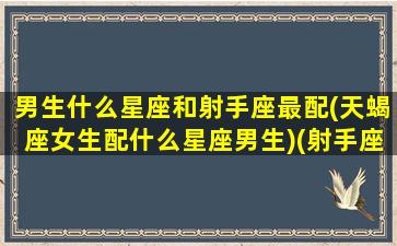 男生什么星座和射手座最配(天蝎座女生配什么星座男生)(射手座男生和什么星座合适)