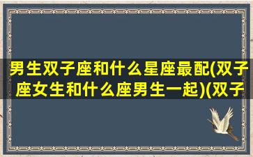 男生双子座和什么星座最配(双子座女生和什么座男生一起)(双子座的男生和什么星座的女生般配)