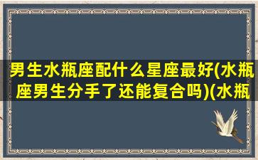 男生水瓶座配什么星座最好(水瓶座男生分手了还能复合吗)(水瓶男般配星座)