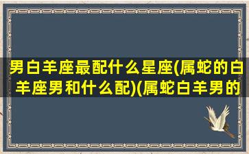 男白羊座最配什么星座(属蛇的白羊座男和什么配)(属蛇白羊男的爱情观)