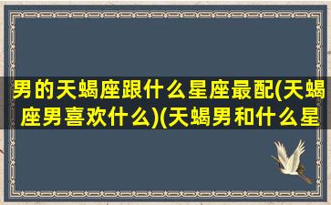 男的天蝎座跟什么星座最配(天蝎座男喜欢什么)(天蝎男和什么星座配对)