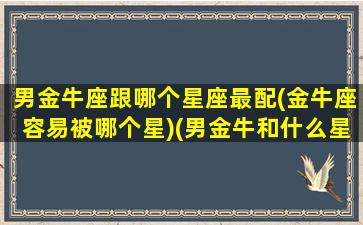 男金牛座跟哪个星座最配(金牛座容易被哪个星)(男金牛和什么星座最配)