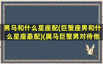 男马和什么星座配(巨蟹座男和什么星座最配)(属马巨蟹男对待他爱的女人)